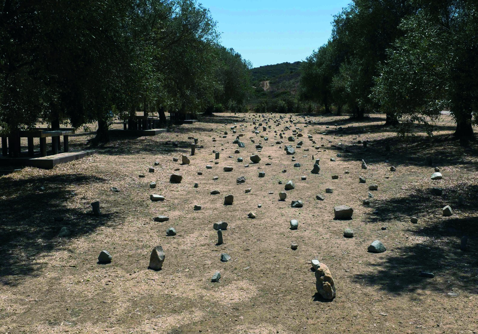 Sardegna Biennale project image